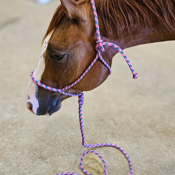 Pink and Blue Braided Rope - Picture 4 of 6